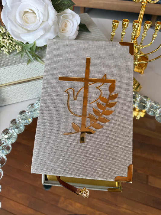 Bible Espirito Santo