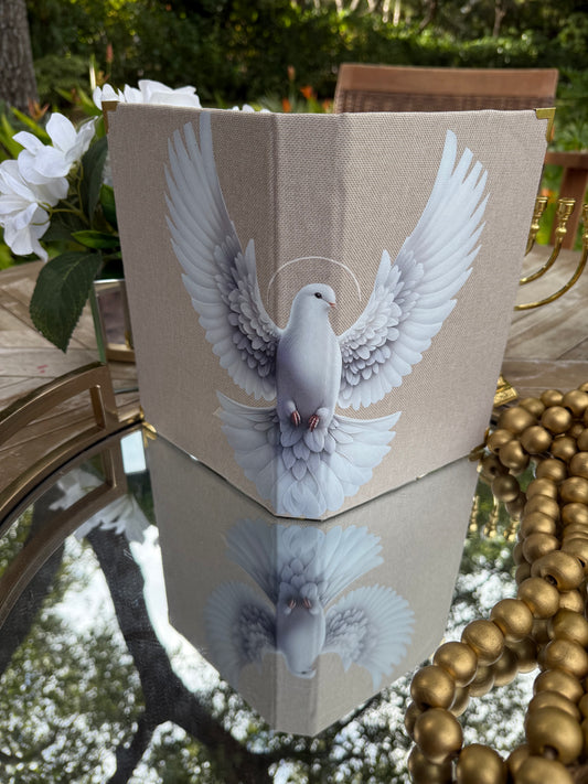 holy spirit / Dove